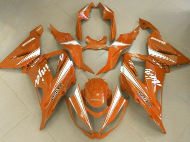 Ninja Naranja 2013-2018 Kawasaki ZX6R Carenados Moto